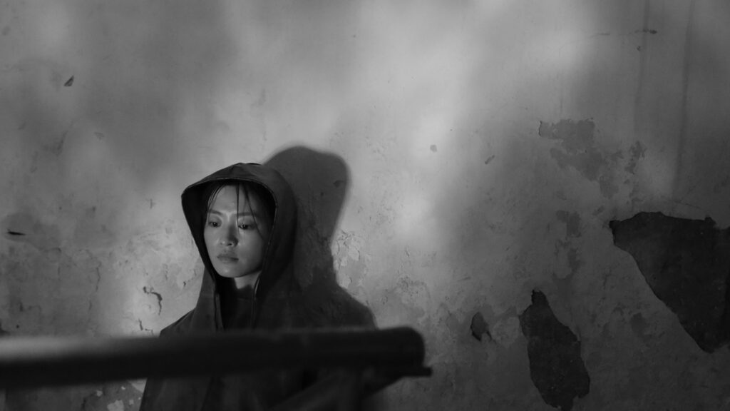 silver grey Who is Sleeping in Silver Grey