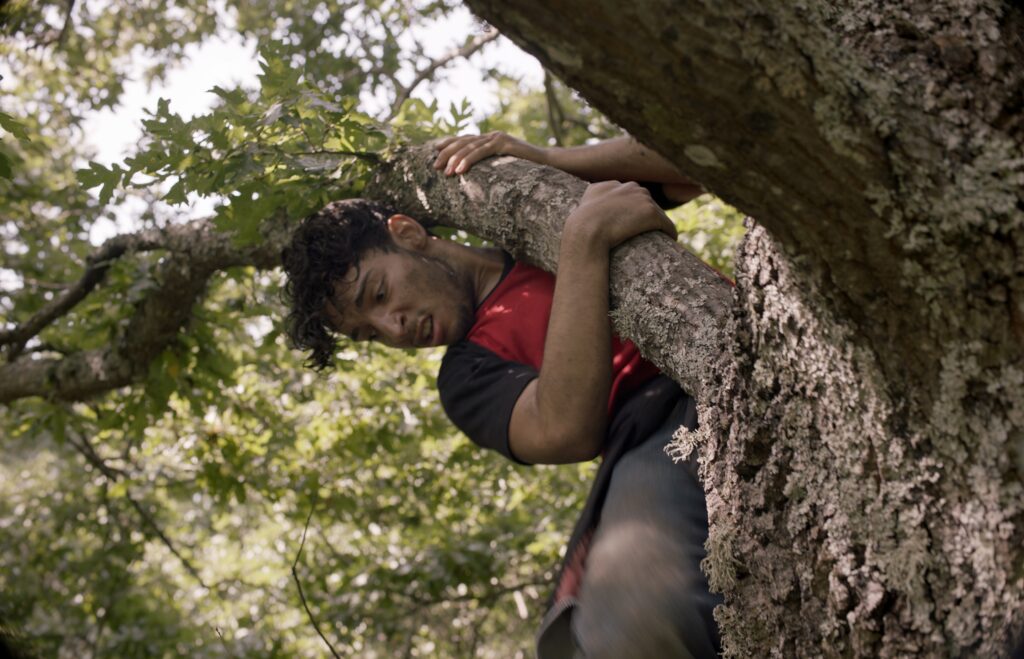 EUROPA STILL 06 Europa