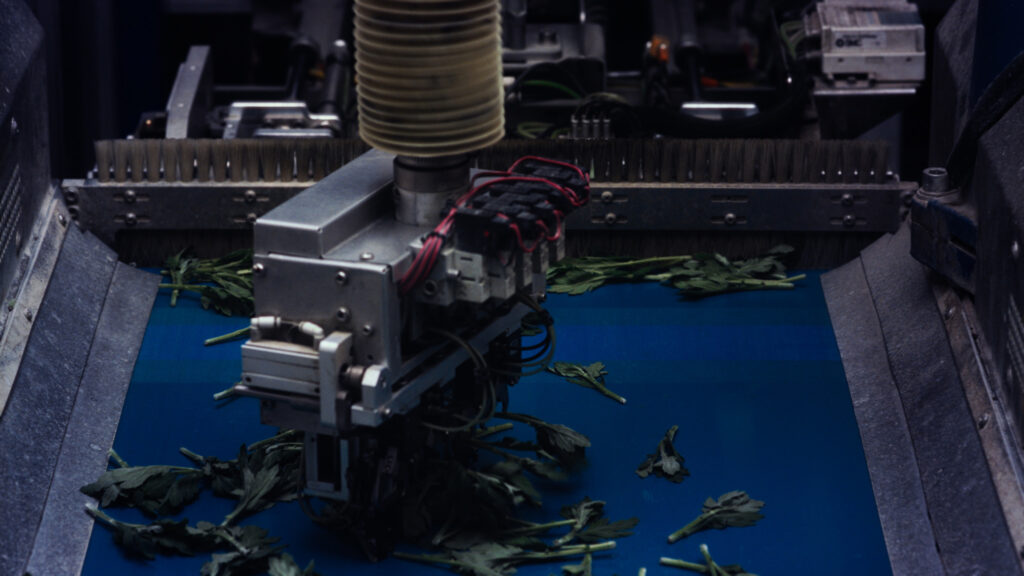 Agrilogistics still Agrilogistics