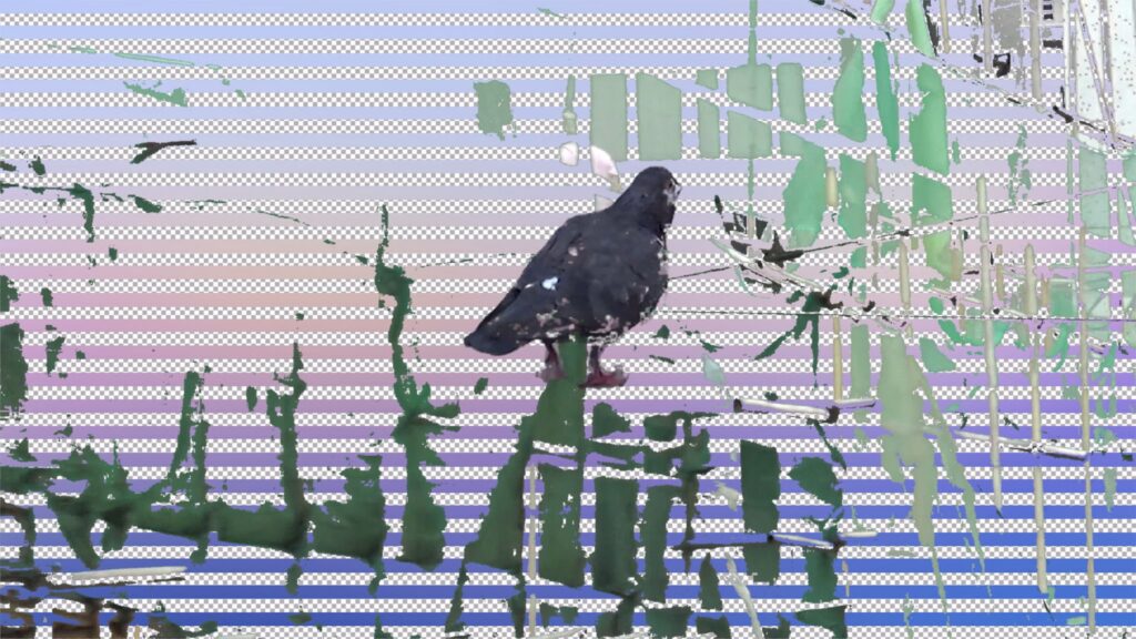 TuggingDiary still Tugging Diary