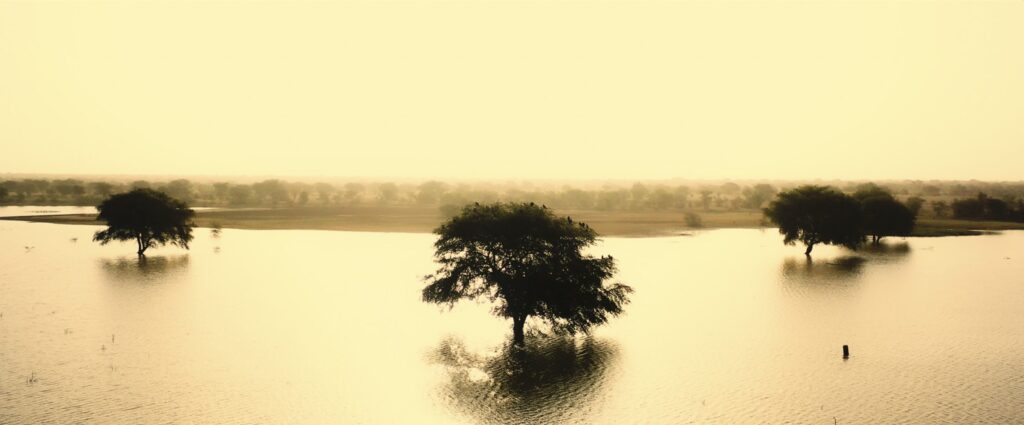 the invitation still The Invitation