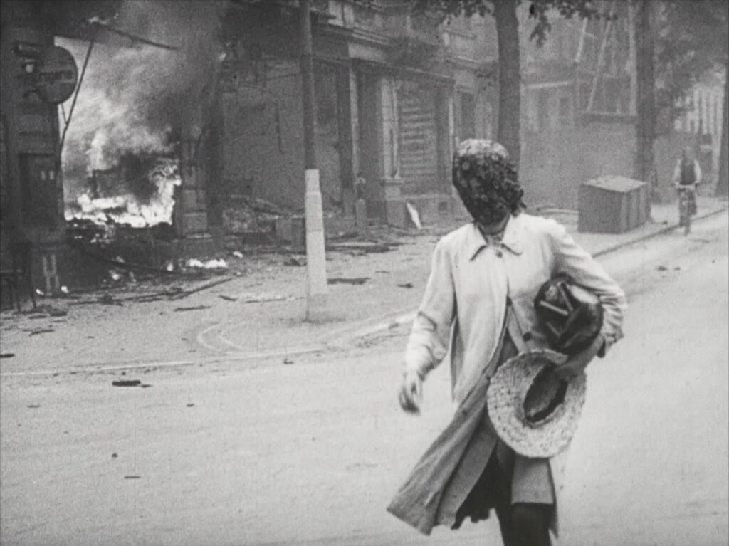 THE NATURAL HISTORY OF DESTRUCTION The Natural History of Destruction