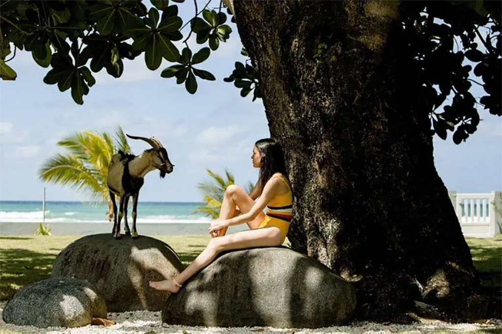 carajita final Carajita