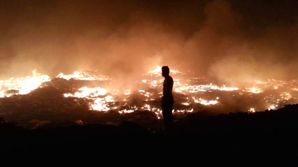 Indivision Film Still 1 Birdland