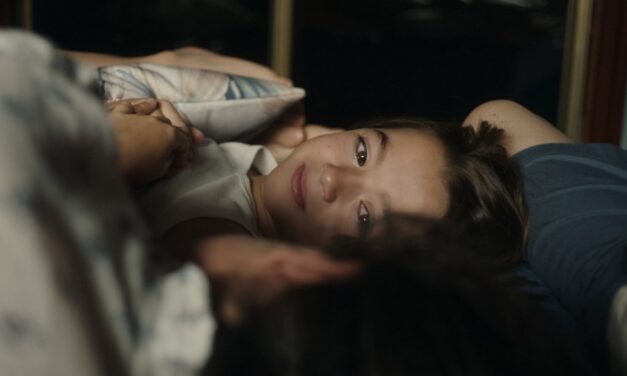 20,000 Species of Bees