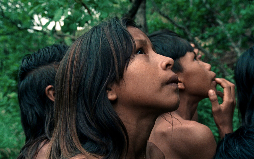 Buriti 2 c Karo Films Entre Films The Buriti Flower