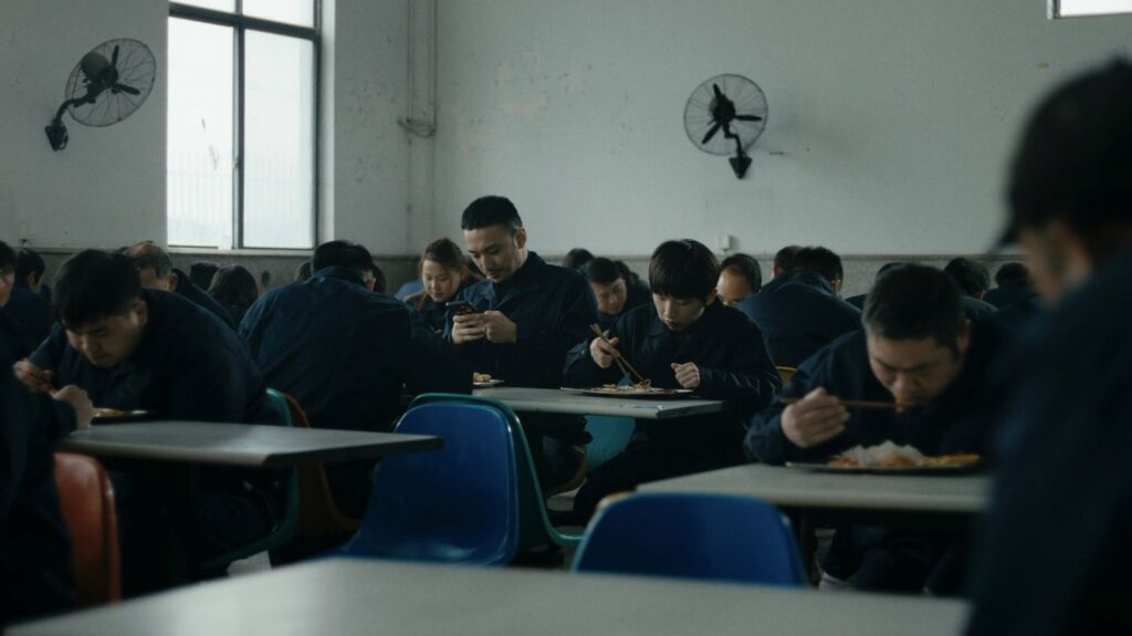 Still image from A Tortoise's Year of Fate.