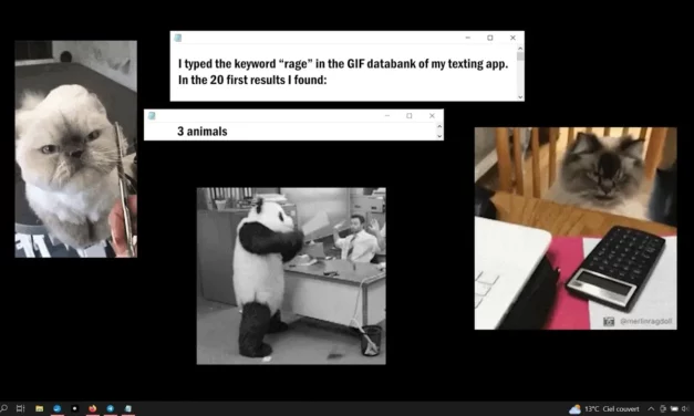 I Would Like to Rage