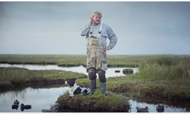 As the Tide Comes In