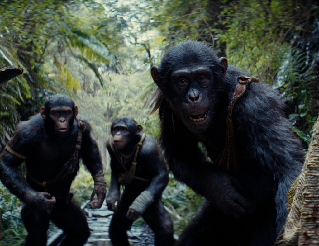 Kingdom of the Planet of the Apes