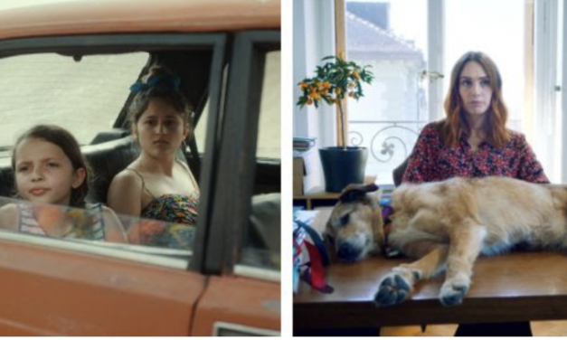 ‘Reinas’ and ‘Dog on Trial’ selected as potential Swiss International Oscar® Submission