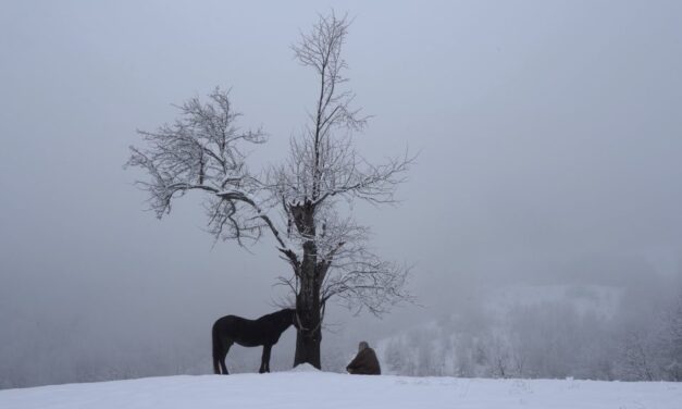 At the Door of the House Who Will Come Knocking