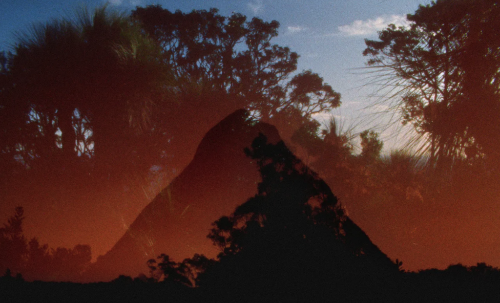 Still from Archipelago of Earthen Bones – To Bunya (2024)