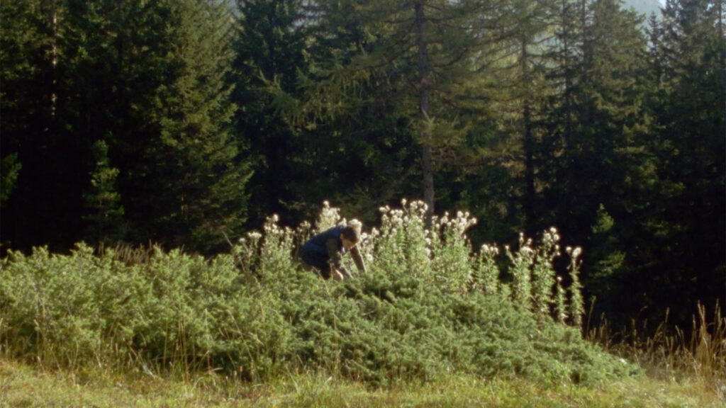 Still from Memory Is an Animal, It Barks with Many Mouths (2025)