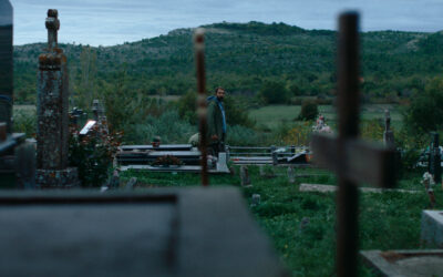 How Come It’s All Green Out Here?