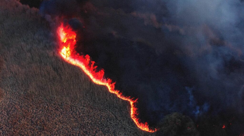 Still from Divia (2025)