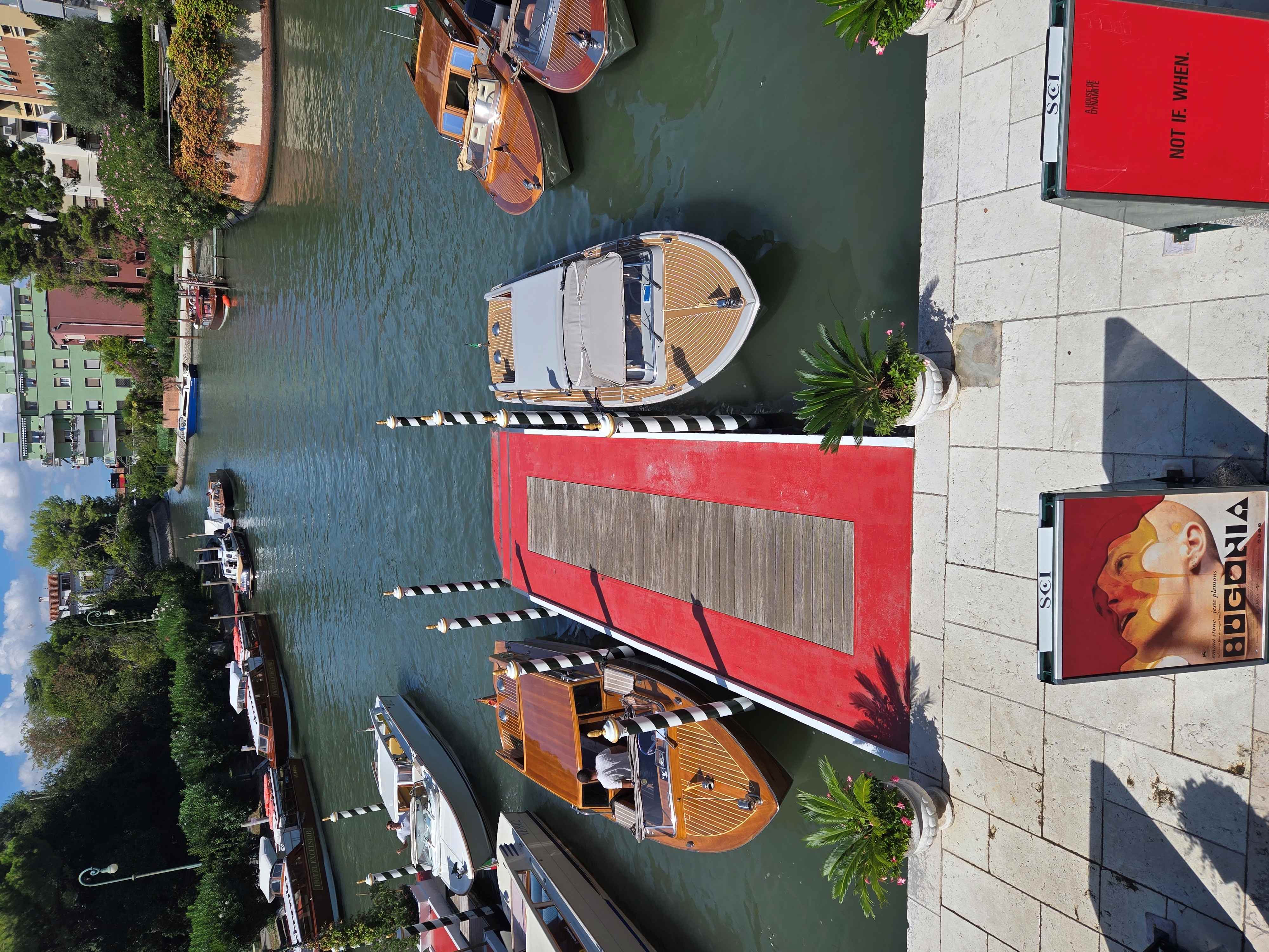 Venice 2025: The Verdict