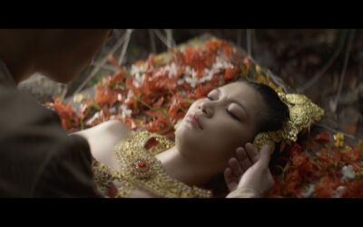 The Sleeping Beauty