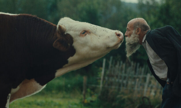 Better Go Mad in the Wild