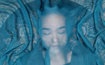 A Fox Under a Pink Moon