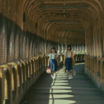 Where Lions Roar and Cubs Prowl: SGIFF Hits 36