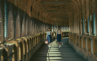 Where Lions Roar and Cubs Prowl: SGIFF Hits 36