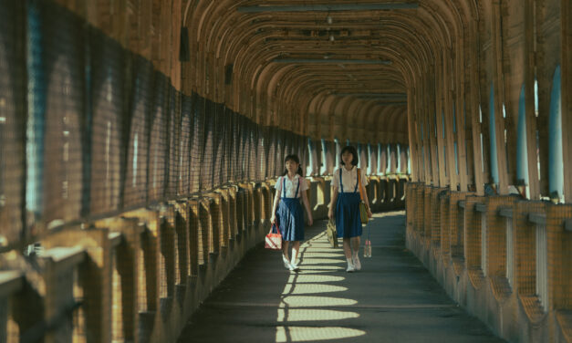 Where Lions Roar and Cubs Prowl: SGIFF Hits 36