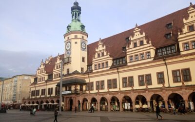 DOK Leipzig 2025: The Verdict