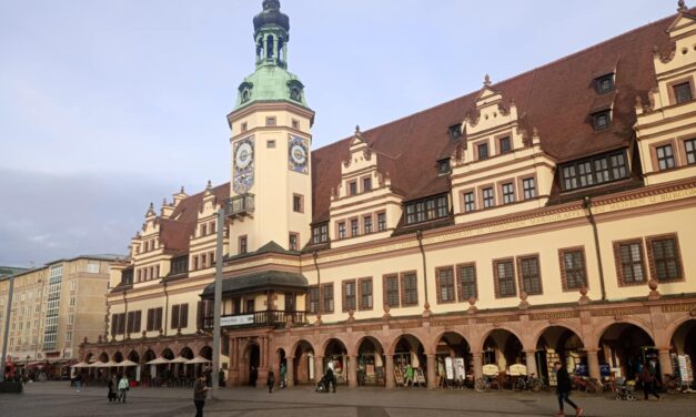 DOK Leipzig 2025: The Verdict