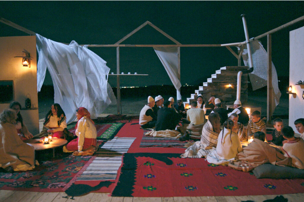 The Beauty of the Donkey