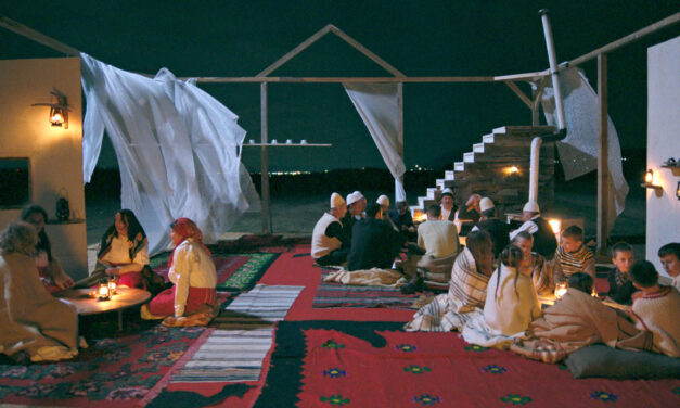 The Beauty of the Donkey