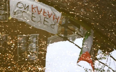 Ben Nicholson’s 5 Favourite Shorts of 2025