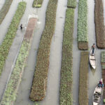 Elements Of(f) Balance