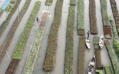 Elements Of(f) Balance