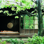 Past Lives, Bright Futures: Two Special JEONJU Programmes