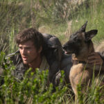 The Dog Stars