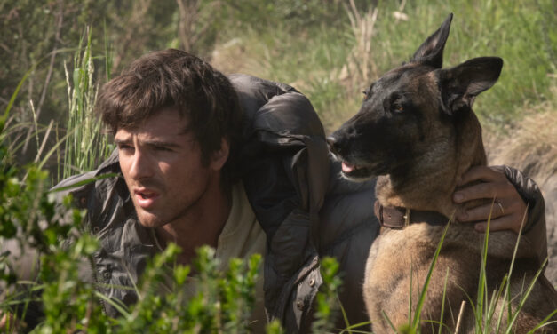 The Dog Stars