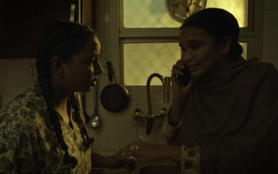 no land in sight Verdict Shorts No Land in Sight