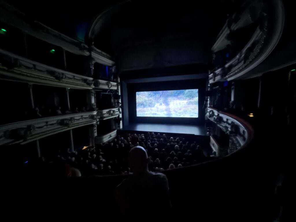 Oldenburg Film Festival 2026