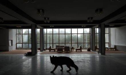 Hotel Utopia